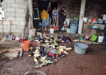 Explosión por tanque de gas deja dos lesionados en Tulancingo