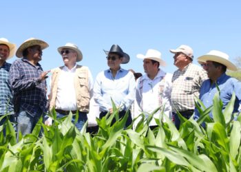 SADER y Gobierno de Hidalgo refuerzan apoyo al campo con gira de trabajo en municipios clave