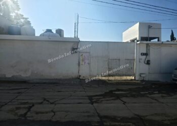 ¡Sello de suspensión… que no suspende! Centro avícola en Pachuquilla opera entre olores fétidos, plumas y fluidos en plena calle