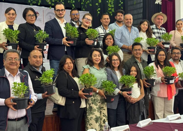 Mineral de la Reforma será el primer municipio con Estación de Monitoreo Ambiental en Hidalgo