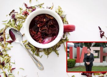 Investigan en UAEH propiedades de la jamaica para combatir enfermedades bucales