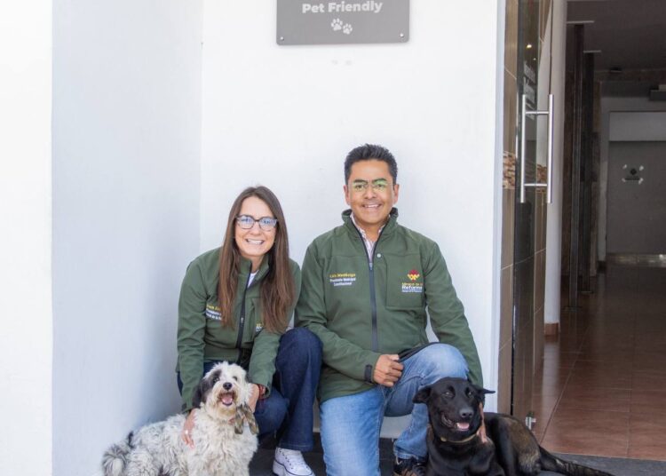 Mineral de la Reforma, primer municipio de Hidalgo con espacios pet friendly al interior de la alcaldía
