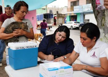 Arranca en Huejutla la Campaña Antirrábica Canina y Felina 2025