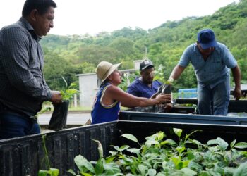 Huejutla impulsa reforestación con entrega de 500 árboles en tramo carretero