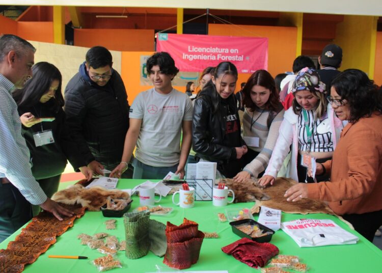 Elige tu camino profesional en Expo Universitaria UAEH 2025