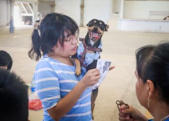 Ixmiquilpan avanza en bienestar animal: más de 35 mil vacunas antirrábicas y acciones integrales de protección