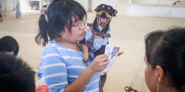 Ixmiquilpan avanza en bienestar animal: más de 35 mil vacunas antirrábicas y acciones integrales de protección