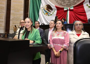 La educación como base del respeto y protección hacia los animales