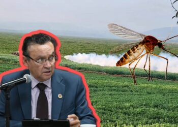 Diputado José Luis Rodríguez Higareda alerta sobre emergencia sanitaria por plaga de mosquitos en Tula y Tepetitlán