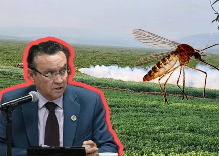 Diputado José Luis Rodríguez Higareda alerta sobre emergencia sanitaria por plaga de mosquitos en Tula y Tepetitlán