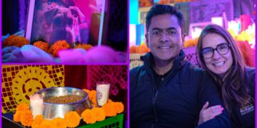 Altar con garra, huellas que trascienden”: homenaje en Mineral de la Reforma a las mascotas que ya partieron