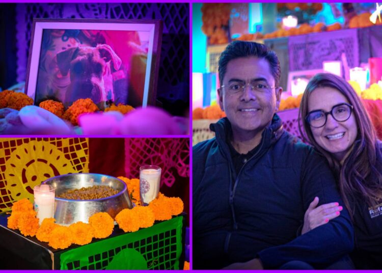 Altar con garra, huellas que trascienden”: homenaje en Mineral de la Reforma a las mascotas que ya partieron