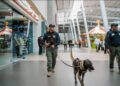 Binomios K9 y Policía Municipal fortalecen la seguridad en plazas comerciales de Pachuca