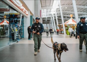 Binomios K9 y Policía Municipal fortalecen la seguridad en plazas comerciales de Pachuca
