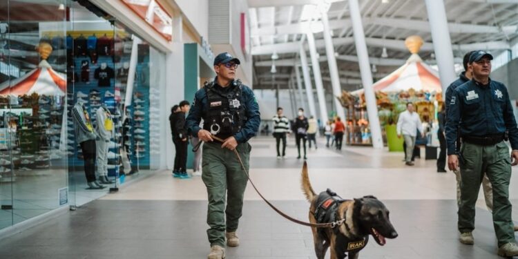 Binomios K9 y Policía Municipal fortalecen la seguridad en plazas comerciales de Pachuca