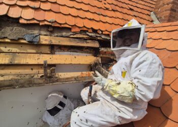 SADER reconoce a Protección Civil de Mineral de la Reforma por su labor en el manejo seguro de enjambres