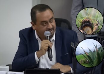 Leonel Perusquía impulsa y logra aprobación de reforma clave para blindar al sector magueyero de Hidalgo