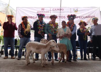 Robustecer la ganadería con mejoramiento genético y entrega de ejemplares, prioridad del gobierno de Hidalgo