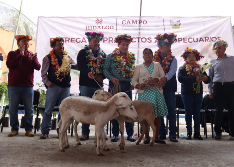 Robustecer la ganadería con mejoramiento genético y entrega de ejemplares, prioridad del gobierno de Hidalgo