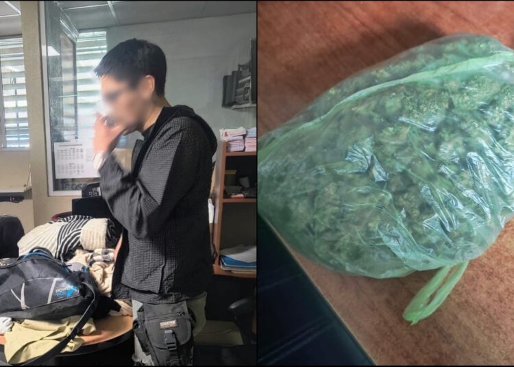 Detectan presunta posesión de hierba verde en la Central Camionera de Pachuca