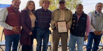 Ensayo de campo de maíz en Mixquiahuala fortalece la productividad y calidad del grano hidalguense