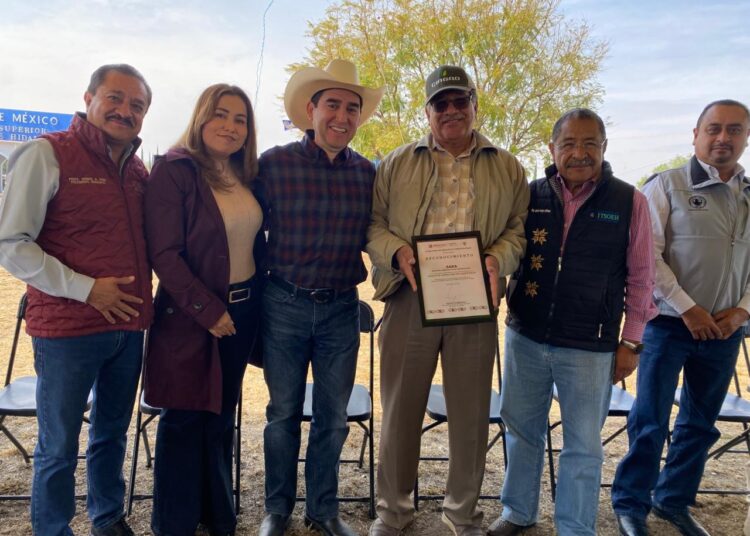 Ensayo de campo de maíz en Mixquiahuala fortalece la productividad y calidad del grano hidalguense