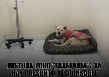 Justicia para “Blanquita”: ya hay presunto responsable