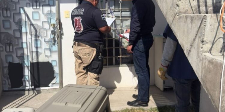 Mineral de la Reforma refuerza acciones contra el maltrato animal y supera cifras de la administración anterior