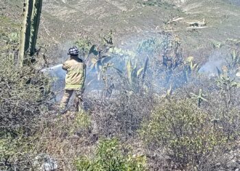 Cuatro incendios forestales son atendidos en Ixmiquilpan tras reportes ciudadanos