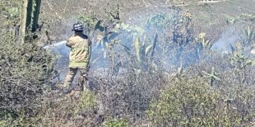 Cuatro incendios forestales son atendidos en Ixmiquilpan tras reportes ciudadanos