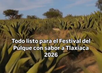 David Medina impulsa las tradiciones con el Festival del Pulque con sabor a Tlaxiaca 2026