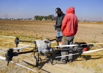 Gobierno atiende y da seguimiento a saneamiento ambiental en zonas habitacionales de Tizayuca con presencia de múcidos