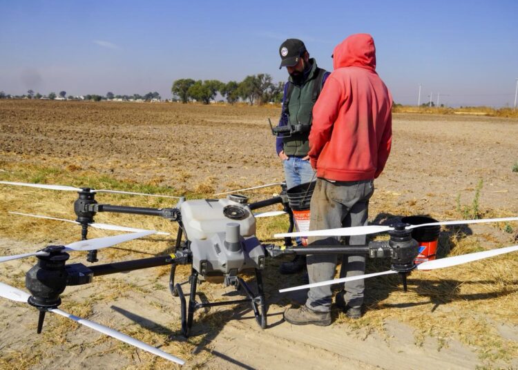 Gobierno atiende y da seguimiento a saneamiento ambiental en zonas habitacionales de Tizayuca con presencia de múcidos