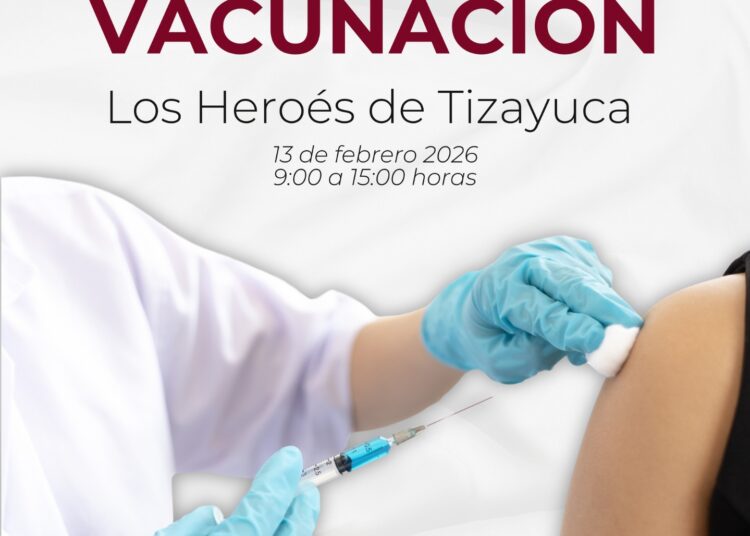 Borrador automático