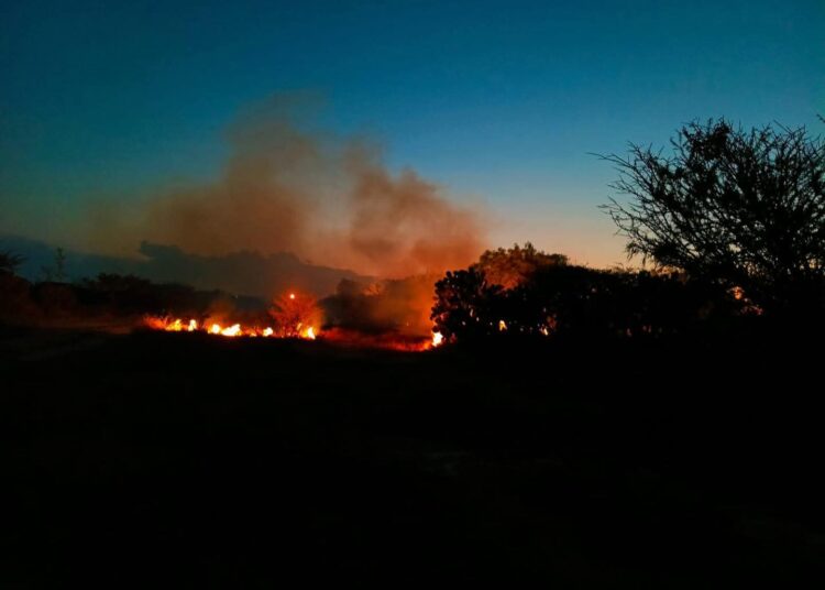Protección Civil controla incendio en pastizales y llama a reforzar la prevención