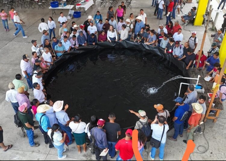 Con capacitación, gobierno de Hidalgo fortalece al sector acuícola y pesquero