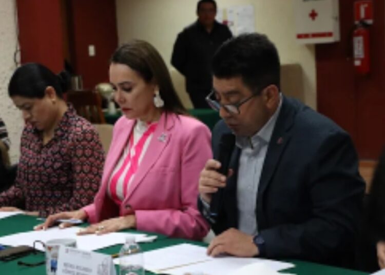 Sesiona Comité Técnico de Coordinación a Favor de las Personas Adultas Mayores