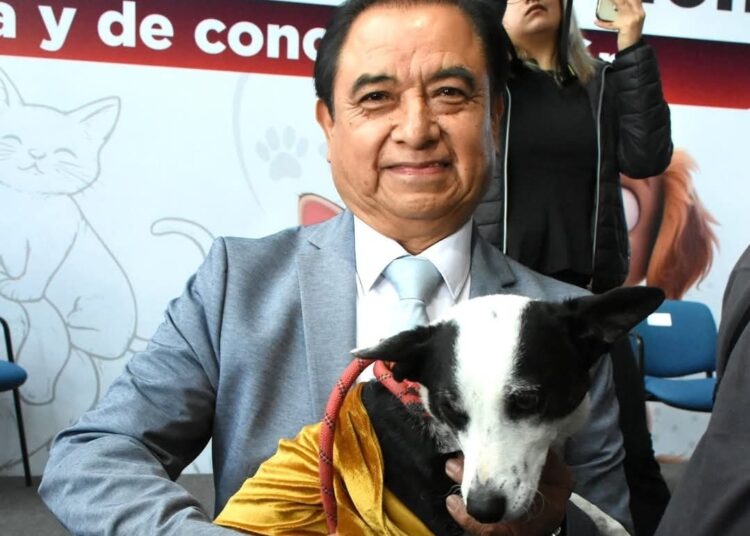 Congreso de Hidalgo impulsa campaña de esterilización para promover el bienestar animal