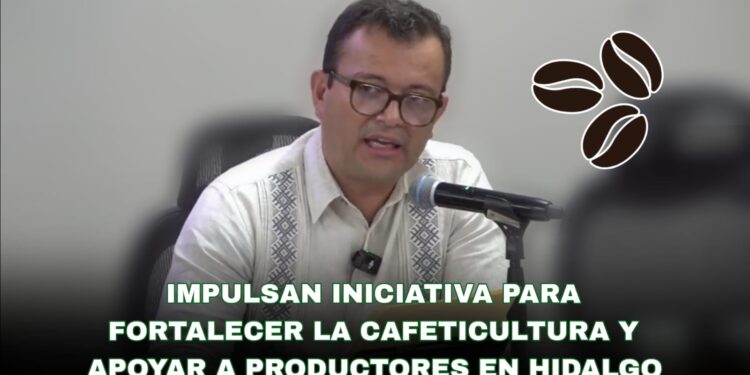 Impulsan iniciativa para fortalecer la cafeticultura y apoyar a productores en Hidalgo