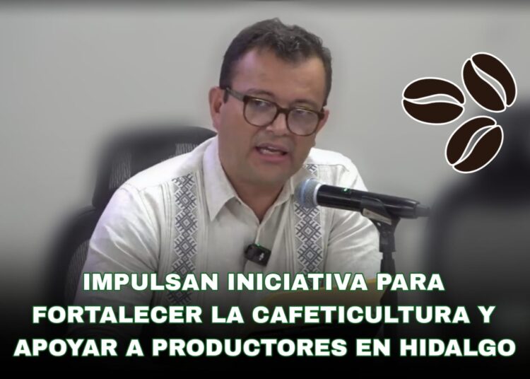 Impulsan iniciativa para fortalecer la cafeticultura y apoyar a productores en Hidalgo