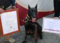 Unidad Canina K9 de Mineral de la Reforma celebra su cuarto aniversario con reconocimientos