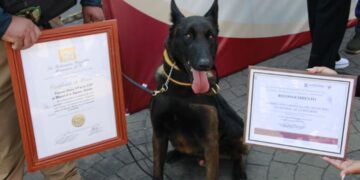 Unidad Canina K9 de Mineral de la Reforma celebra su cuarto aniversario con reconocimientos