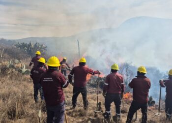 Más del 60 % de los incendios en la entidad son provocados por personas