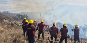 Más del 60 % de los incendios en la entidad son provocados por personas