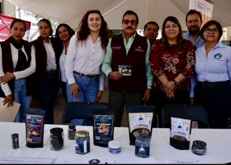 Realizan Jornada de Empleo en Tlahuelilpan