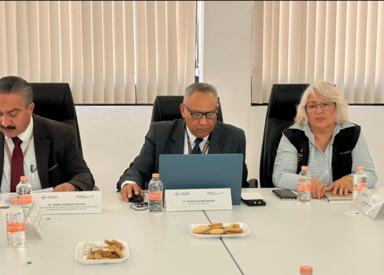 Comisarios públicos vigilan el adecuado  ejercicio de los recursos