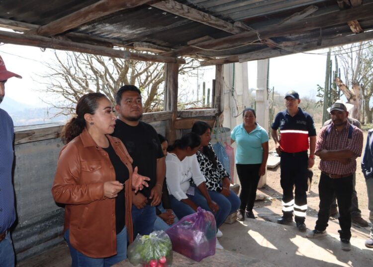 Realiza presidenta Imelda Cuéllar Cano recorrido por zonas altas de Actopan afectadas por granizada