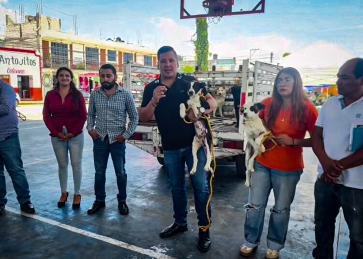 Mario David Medina encabeza liberación de 30 perritos esterilizados en Tlaxiaca