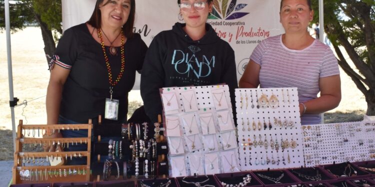 ITESA impulsa economía social con participación en red estatal NODESS