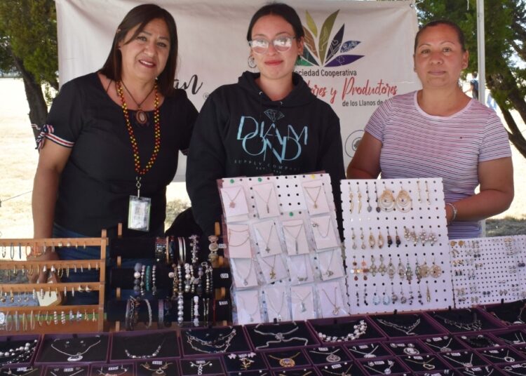 ITESA impulsa economía social con participación en red estatal NODESS